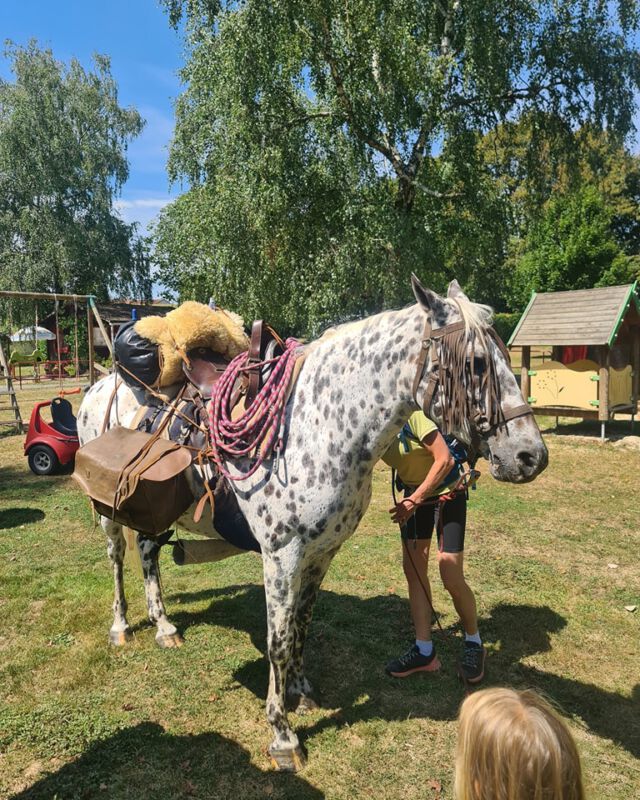 Gisteren ging de telefoon voor een reservering voor 2 personen met een tent en een... wat zegt u een paard? Maar natuurlijk kan dat! Stukje veld afgezet en heerlijk gaan grazen!